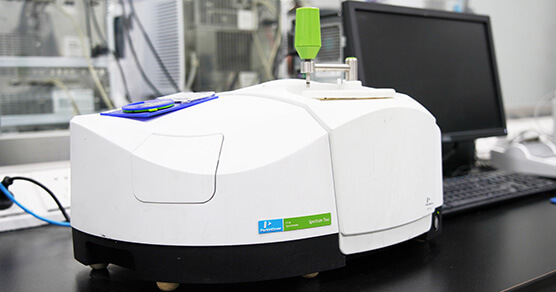 ����Ҷ����