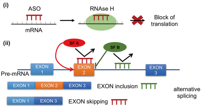 6-ASO-Ò©Îï×÷ÓûúÖÆ.jpg 6-ASO-Ò©Îï×÷ÓûúÖÆ.jpg
