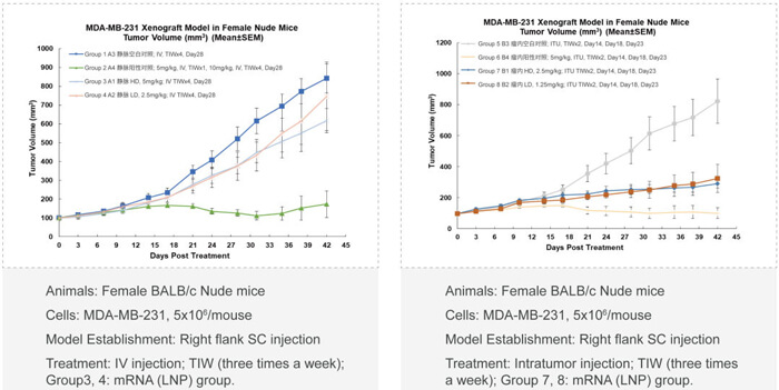 9-ºËËáÒ©ÎïҩЧѧÆÀ¼Û.jpg 9-ºËËáÒ©ÎïҩЧѧÆÀ¼Û.jpg