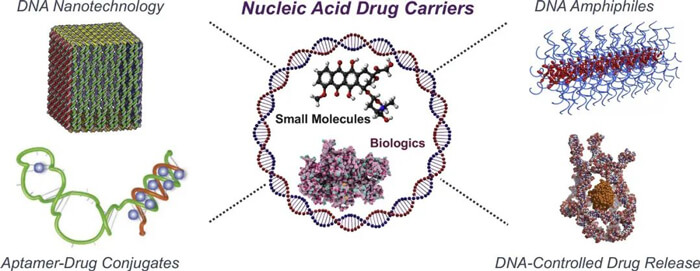 11-ºËËáÒ©ÎïµÝËͱÚÀÝ.jpg 11-ºËËáÒ©ÎïµÝËͱÚÀÝ.jpg