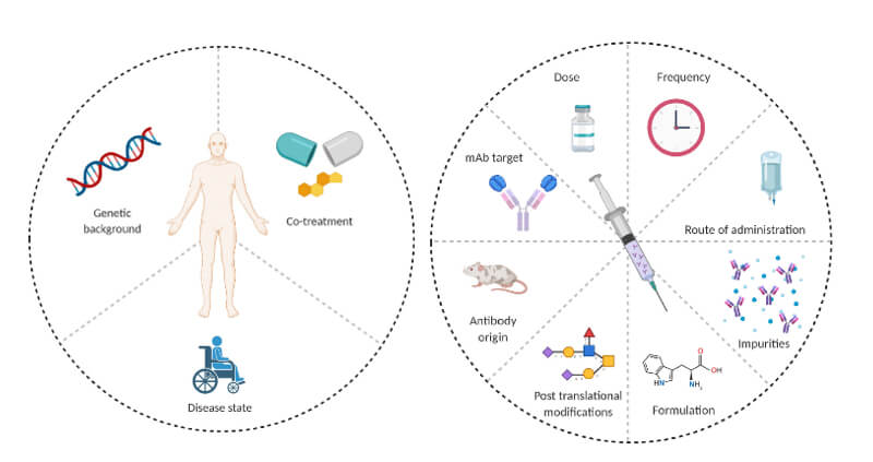 ADAÐγɵÄÏà¹ØÒòËØ.jpg ADAÐγɵÄÏà¹ØÒòËØ.jpg