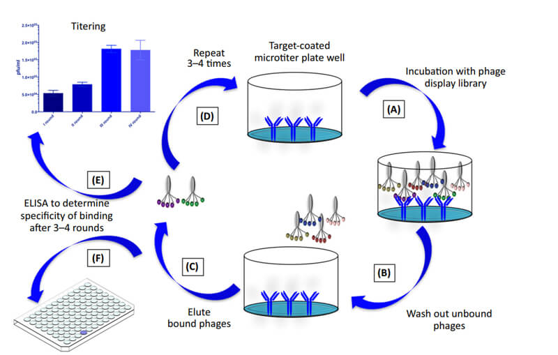 ÊɾúÌåչʾ¼¼Êõ.jpg ÊɾúÌåչʾ¼¼Êõ.jpg