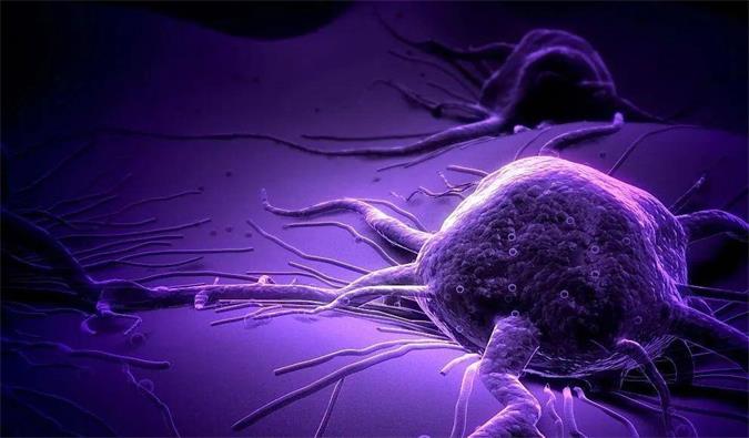 ����÷�������������з�����ȫ�ó������ǵ�˫��ADCҩ��KM501�����ٴ�