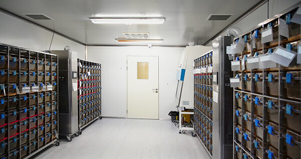 ����������-2