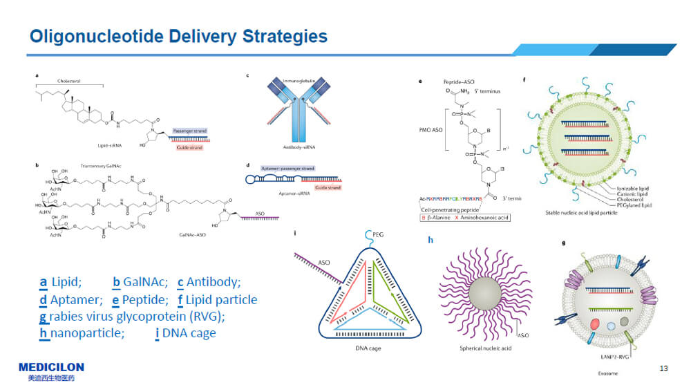 ºËËáÒ©ÎïµÄµÝËÍϵͳ.jpg ºËËáÒ©ÎïµÄµÝËÍϵͳ.jpg