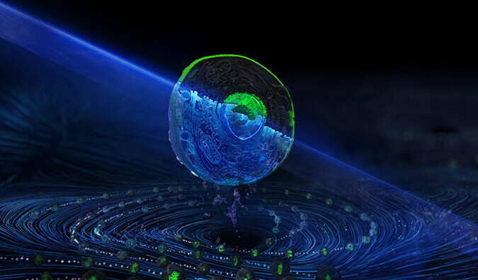 ����÷��ʽϸ����ѡЧ��ƽ̨