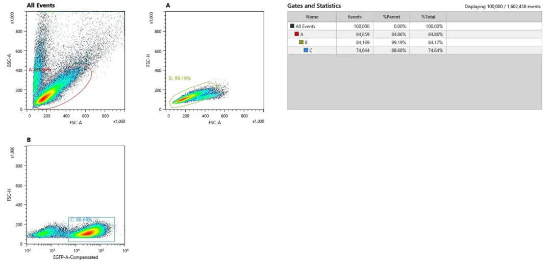 NKϸ°ûGFPÑôÐÔ·ÖÑ¡.jpg NKϸ°ûGFPÑôÐÔ·ÖÑ¡.jpg