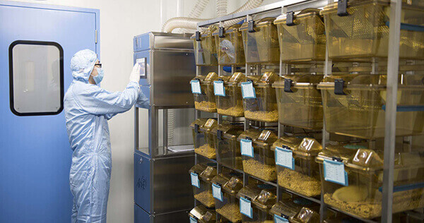 SPF��ʵ�鶯�﷿��������רҵ�Ϲ��ʵ�����ϵͳ.jpg