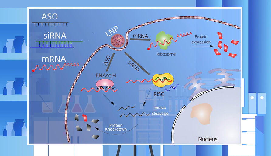 ����ҩ������û�����Ҫ����Щ����������