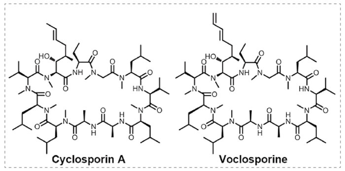4-Cyclophilin-A-��Voclosporine���ӽ��Ľṹ.jpg