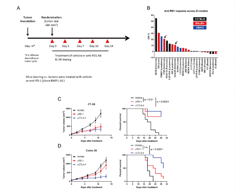 ���߼�������Ʒ��ı��˰�֢���Ƶķ�ʽ���������������о���ͨ������÷��23 ��ͬԴ����ģ���о����˿�PD-1����������о�