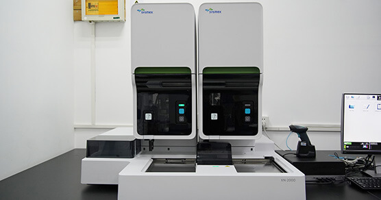 ѪҺ������