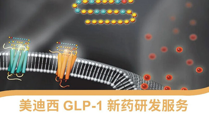 GLP-1ҩ�������ҩ���տ���