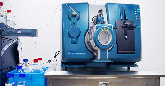 Һ��ɫ������������