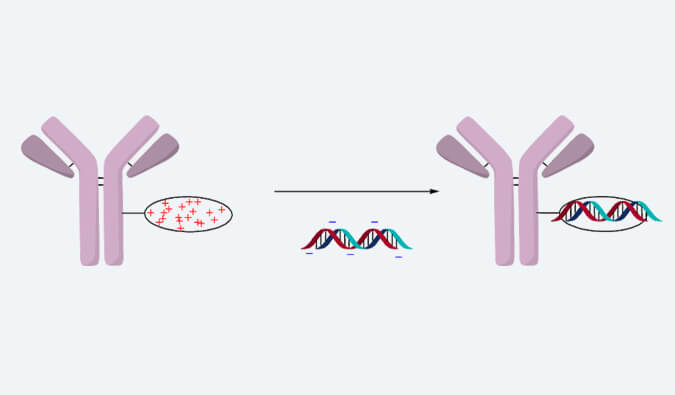 С���Ό��ż��ҩ�AOC)��Ƶ�ϼ�