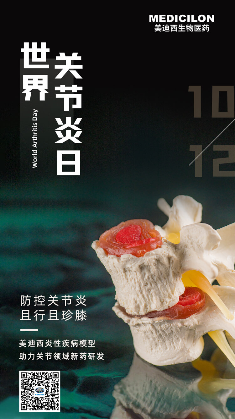 ������Ŧ�ף������������������䡰ϥ��.jpg