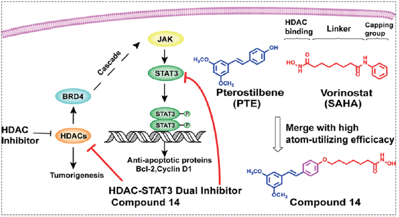 HDAC-BRD4-LIFR-JAK-STAT3�źż�����Ӧ.png