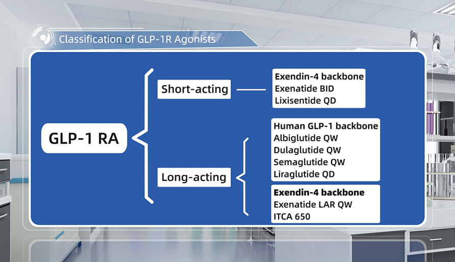 GLP-1R�������ķ���