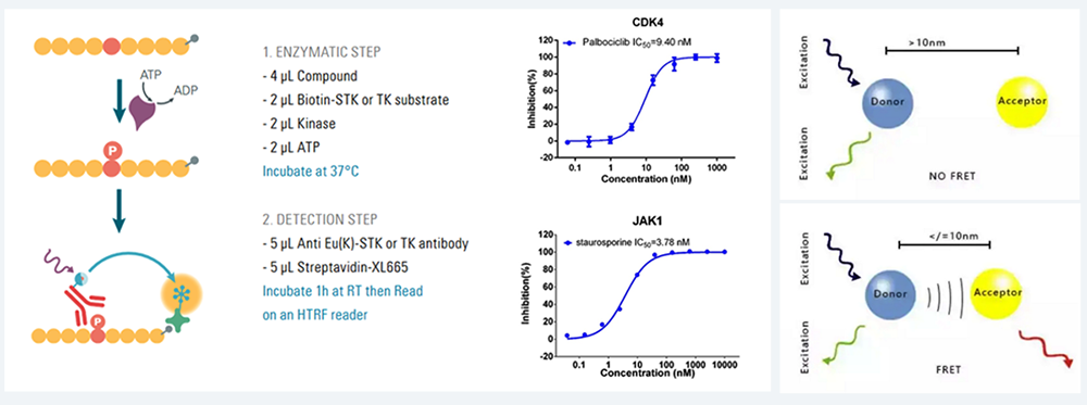 HTRF �ⶨ-����ʱ������ӫ��.png