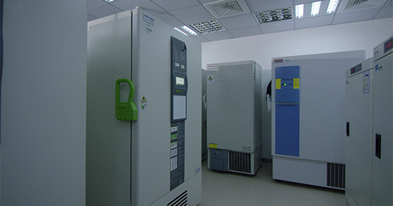 ҩ������