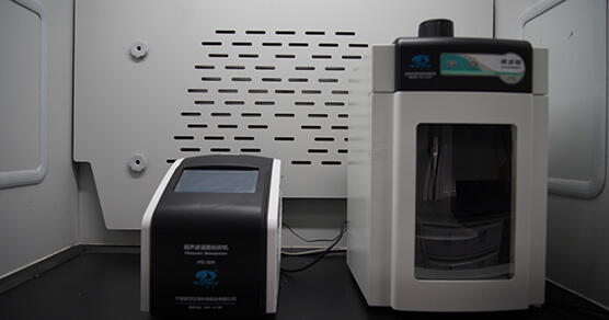 ϸ�������