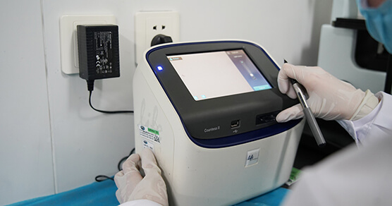 �Զ�ϸ��������