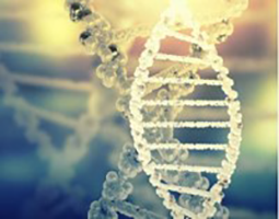 С����ҩ��ϳ�