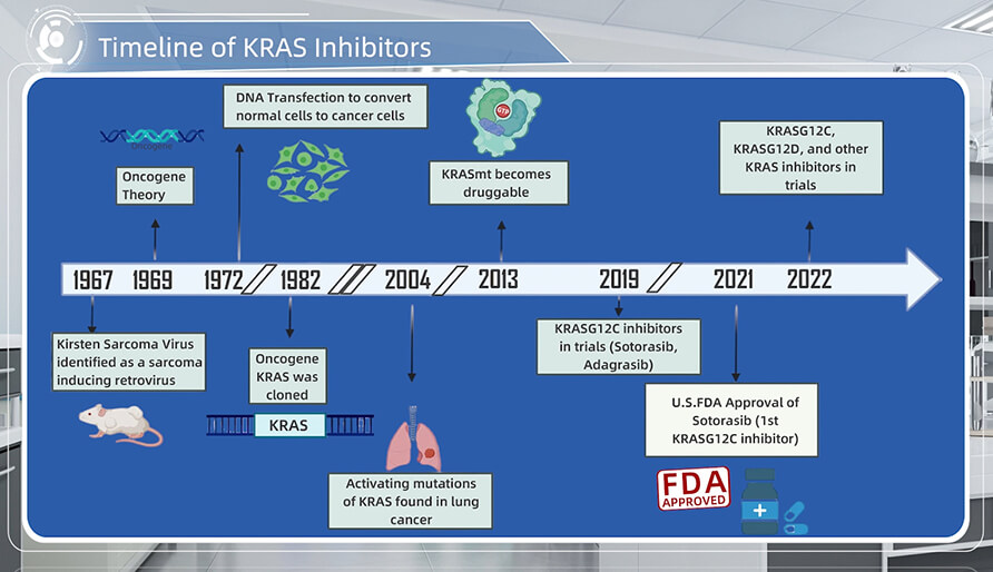 KRAS���Ƽ�����������