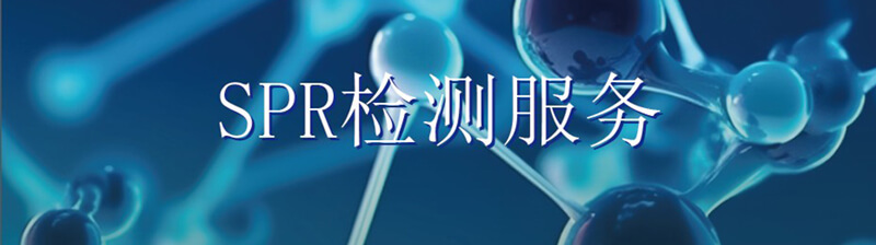 SPR���Ч��