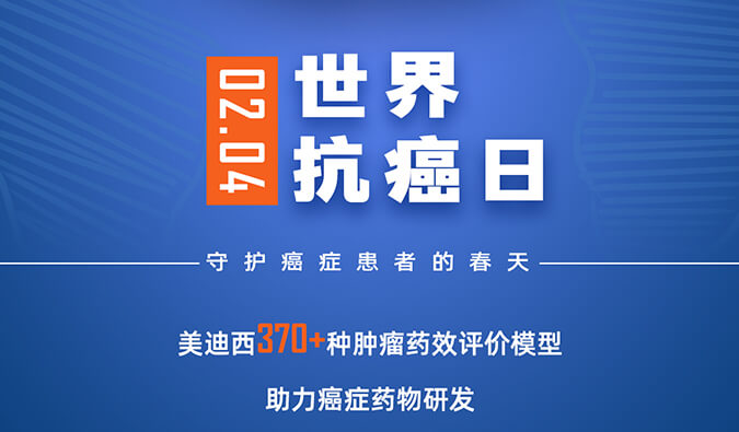 ���� | ���翹����