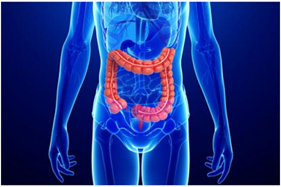 ����÷һվʽ���� | ��̫������������˫������ҩ����