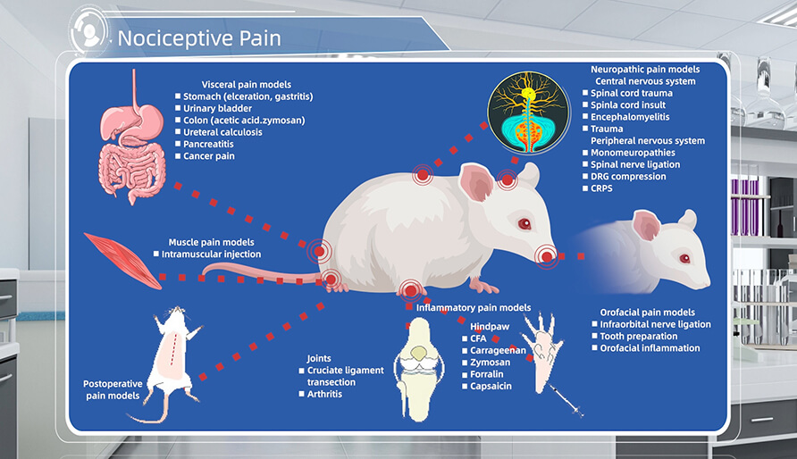 ��ʹ����ģ�ӽ���