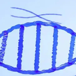 �Ѱױ����봿��Ч��