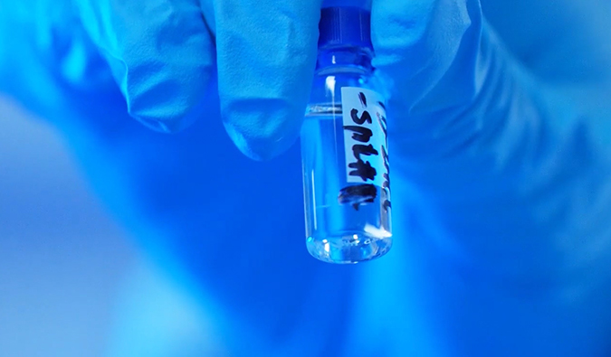 GLP-1�������������Զ����������