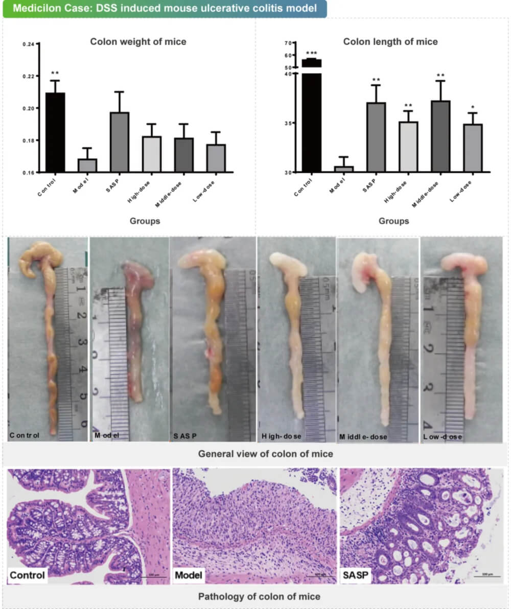 11 �Ͼ����������յ���С�������Խ᳦��ģ��.jpg