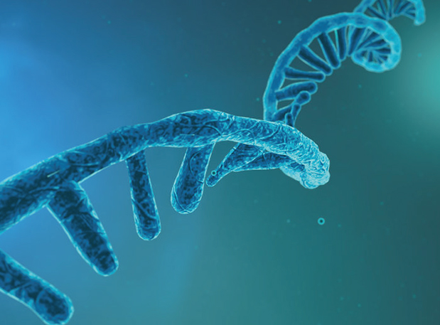 ���ۻ��Ƽ����ڰ˽����º���������ۻ�֪ͨ����һ�֣�