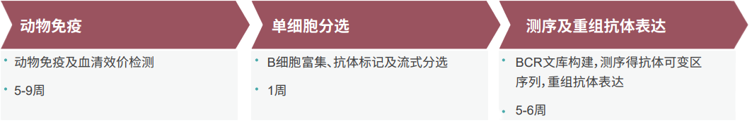 ÃÀ¸ß÷µ¥Bϸ°û¿¹Ìå·¢Ã÷ƽ̨ ÃÀ¸ß÷µ¥Bϸ°û¿¹Ìå·¢Ã÷ƽ̨