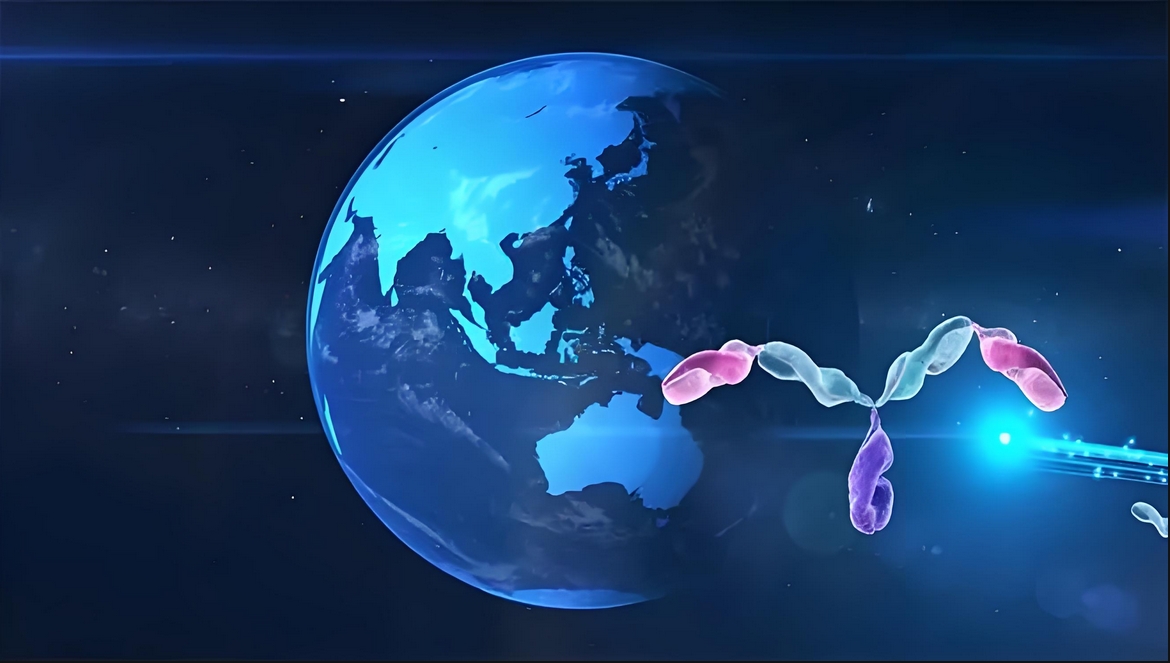 ��ֵ������֤������÷ף������ͬ�鰶������BCMA��CD3˫��EMB-06��Ȩ����