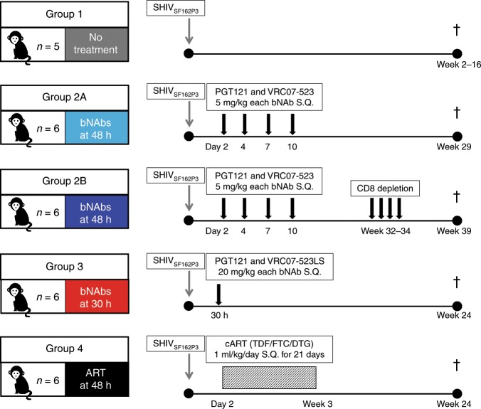 ����ת¼�����Ʒ�(ART)Ԥ��Χ����HIVѬȾ�����������о��ж�����Τ���κ�����̬��������÷�ṩ