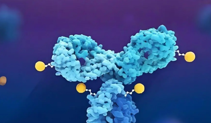 ���������ADCҩ�����������Ŀ�������