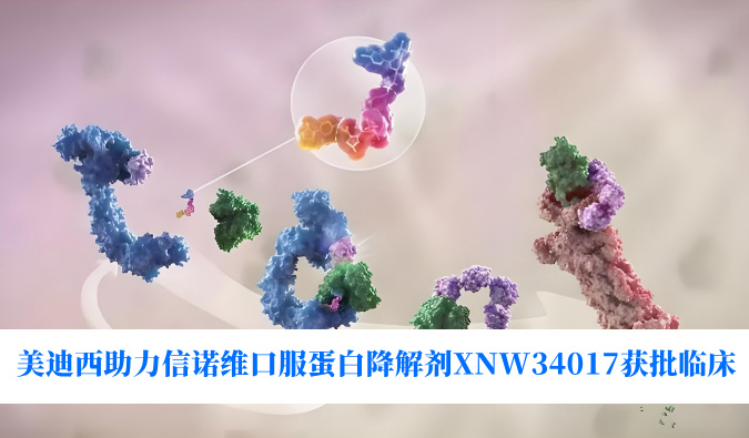 ����÷��������ͬ����ŵά�ڷ��Ѱ׽����XNW34017�����ٴ�