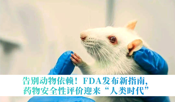 �����������FDA������ָ�ϣ�����ҩ���徲������ӭ��������ʱ����